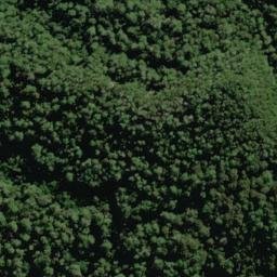 Satellite imagery of Franklin Slopes, NZ