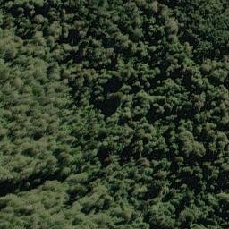 Satellite imagery of Jerry Bluff, NZ