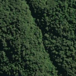 Satellite imagery of Big Reef Point, NZ