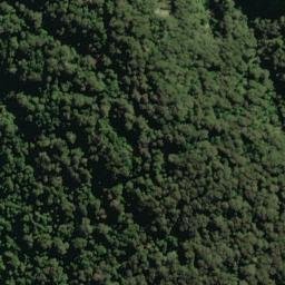 Satellite imagery of Big Reef Point, NZ