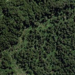 Satellite imagery of Junction Spur, NZ