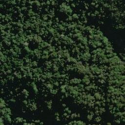 Satellite imagery of Quarry Spur, NZ