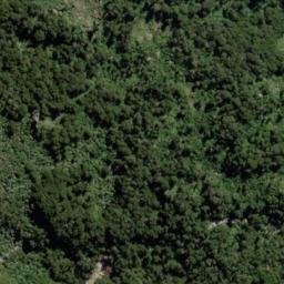 Satellite imagery of Junction Spur, NZ