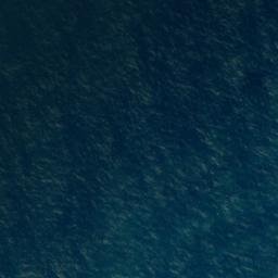Satellite imagery of Awarua Point, NZ