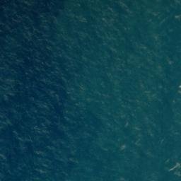 Satellite imagery of Awarua Point, NZ