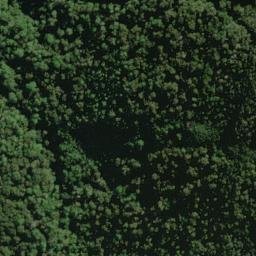 Satellite imagery of Quarry Spur, NZ