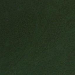 Satellite imagery of Break Neck Face, NZ