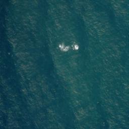 Satellite imagery of Awarua Point, NZ