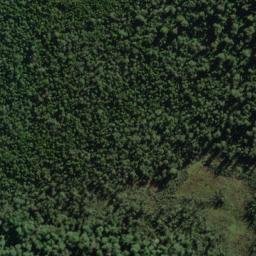 Satellite imagery of Roa Spur, NZ