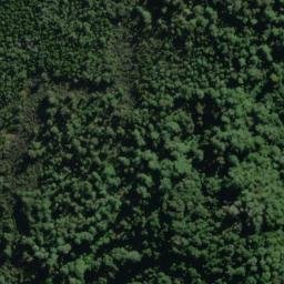 Satellite imagery of Roa Spur, NZ