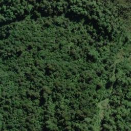 Satellite imagery of Roa Spur, NZ