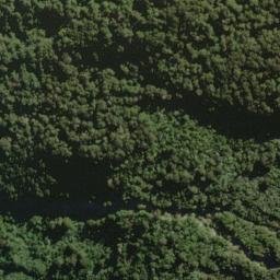 Satellite imagery of Razorback Ridge, NZ