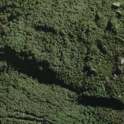 Satellite imagery of Razorback Ridge, NZ