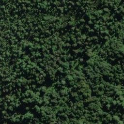 Satellite imagery of Roa Spur, NZ