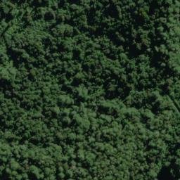 Satellite imagery of Roa Spur, NZ