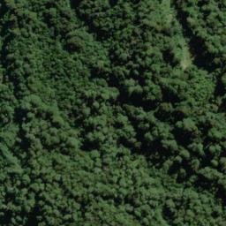 Satellite imagery of Roa Spur, NZ