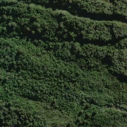 Satellite imagery of Razorback Ridge, NZ