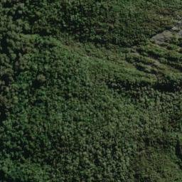 Satellite imagery of Razorback, NZ