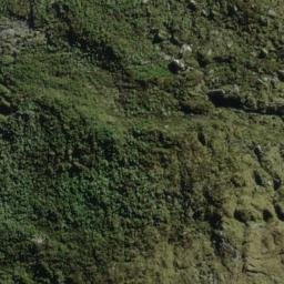Satellite imagery of Razorback, NZ