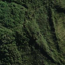 Satellite imagery of Razorback, NZ
