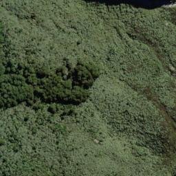 Satellite imagery of Carter Ridge, NZ