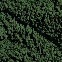 Satellite imagery of Cribbage Spur, NZ