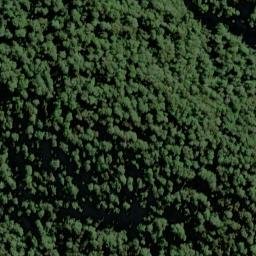 Satellite imagery of Cribbage Spur, NZ