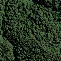 Satellite imagery of Cribbage Spur, NZ