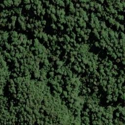 Satellite imagery of Cribbage Spur, NZ