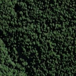 Satellite imagery of Cribbage Spur, NZ