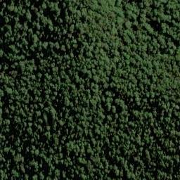 Satellite imagery of Cribbage Spur, NZ