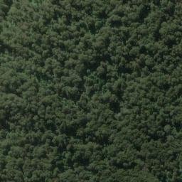 Satellite imagery of Wedge Spur, NZ