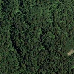 Satellite imagery of Penguin Rock, NZ