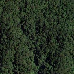 Satellite imagery of Penguin Rock, NZ