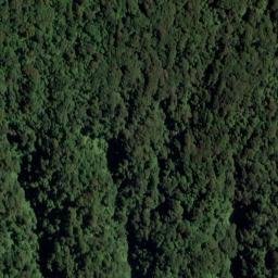 Satellite imagery of Penguin Rock, NZ
