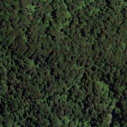 Satellite imagery of Penguin Rock, NZ