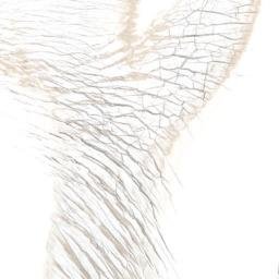 Satellite imagery of Tantalus Rock, NZ