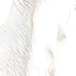Satellite imagery of Tantalus Rock, NZ