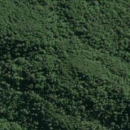 Satellite imagery of Punta Duncan, CL