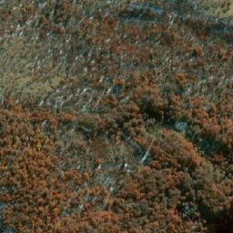 Satellite imagery of Cerro Pata de Gallo, CL