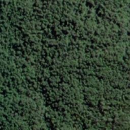 Satellite imagery of Punta Alberto, CL