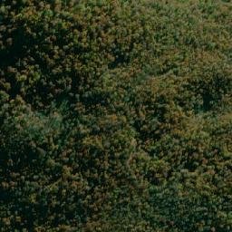 Satellite imagery of Cerro Chacrita, CL