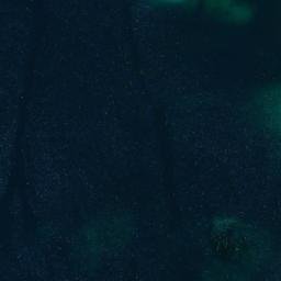 Satellite imagery of Punta Pulga, CL