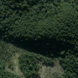 Satellite imagery of Fox Point, NZ