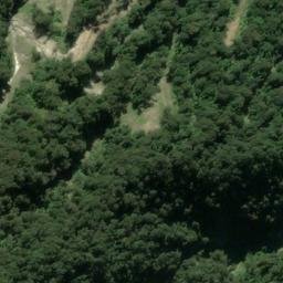 Satellite imagery of Fox Point, NZ