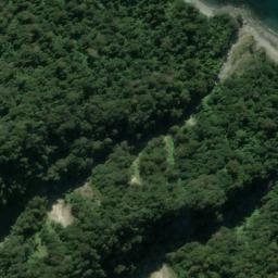 Satellite imagery of Fox Point, NZ