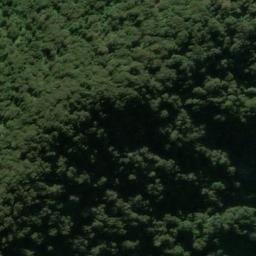 Satellite imagery of Greenstone Point, NZ