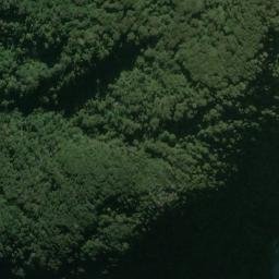 Satellite imagery of Dale Point, NZ