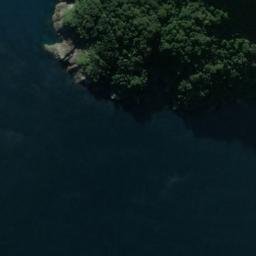 Satellite imagery of Dale Point, NZ