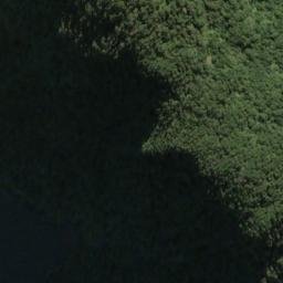 Satellite imagery of Williamson Point, NZ